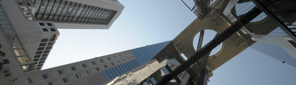 SSF Consulting Firm